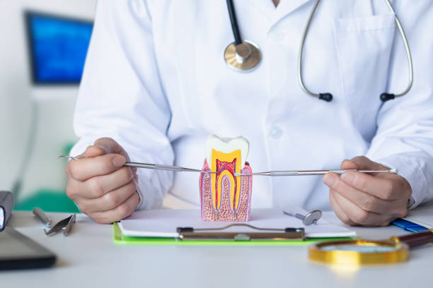 Best Walk-In Emergency Dental Services in Fairchild Af, WA